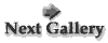 Next Gallery of Photos