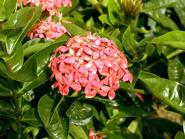 P6160236
