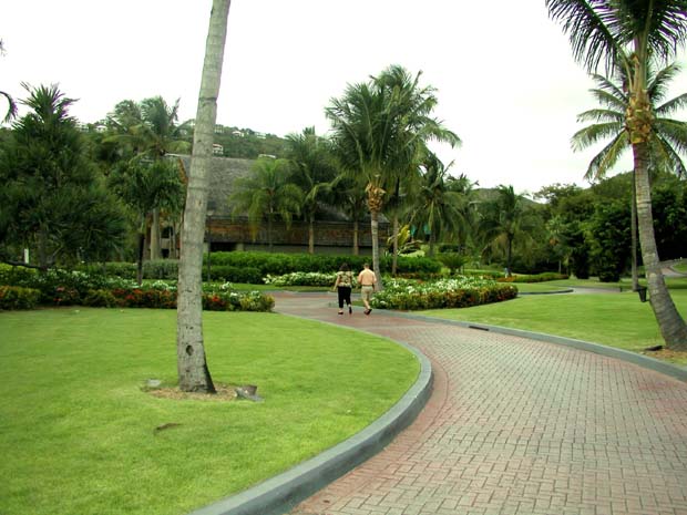 P6160241