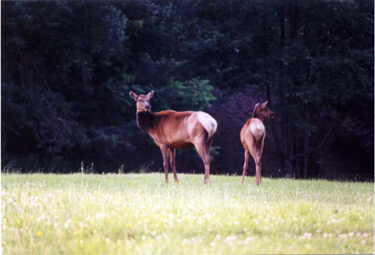 20030704_0901