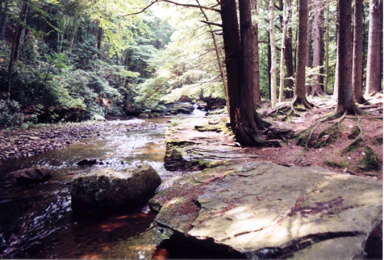 20030704_1201