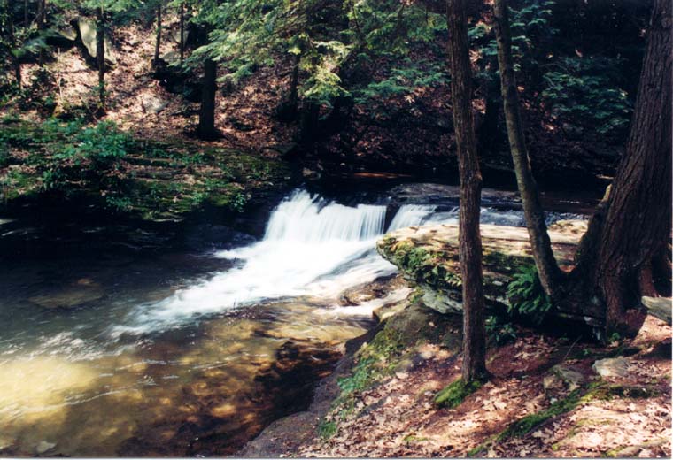 20030704_1202