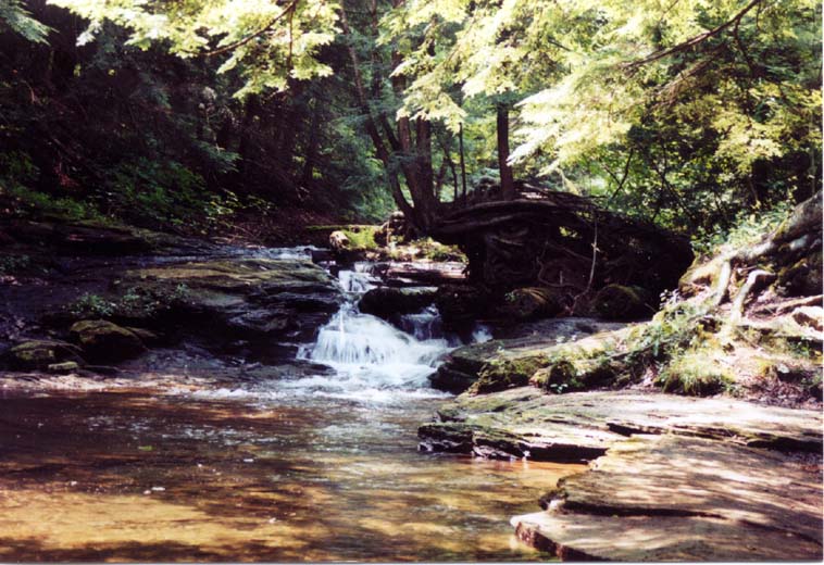 20030704_1205