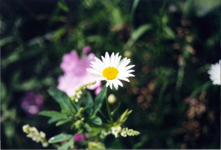 20030705_1605