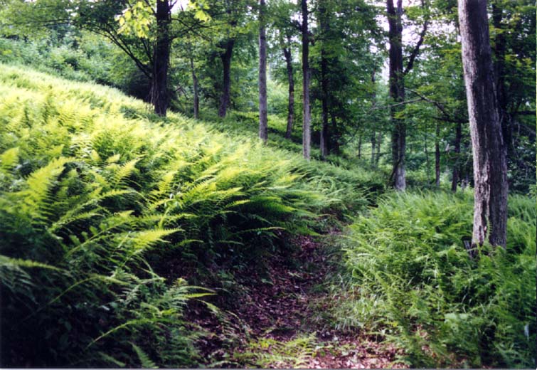 20030705_1609