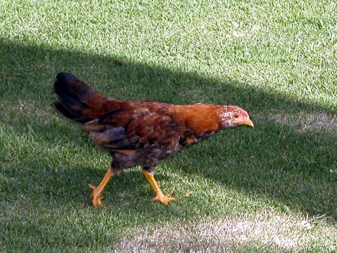 P5310538