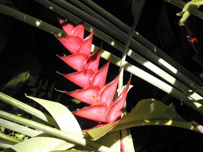 P5310551