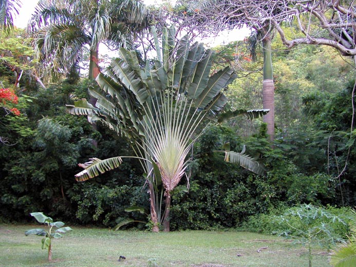 P6010593
