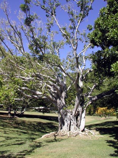 P6020612