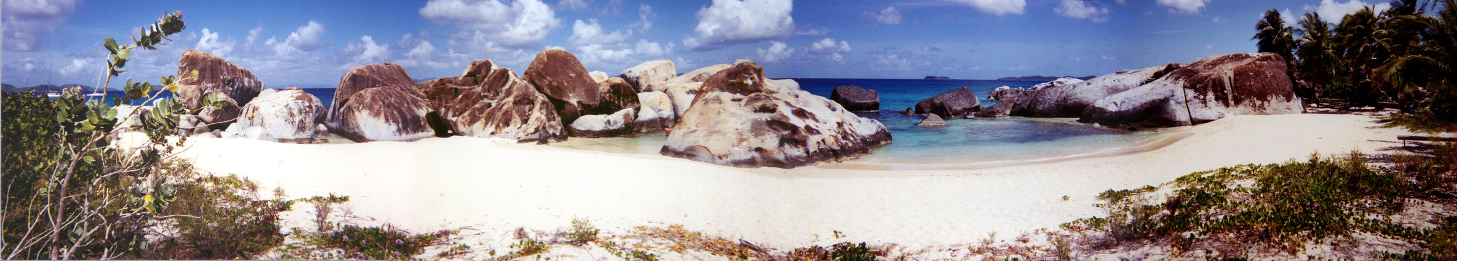 P60701_SpringBay1