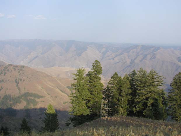 P9030109